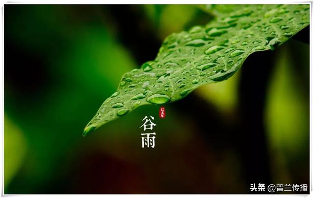 2020谷雨文案怎么写
