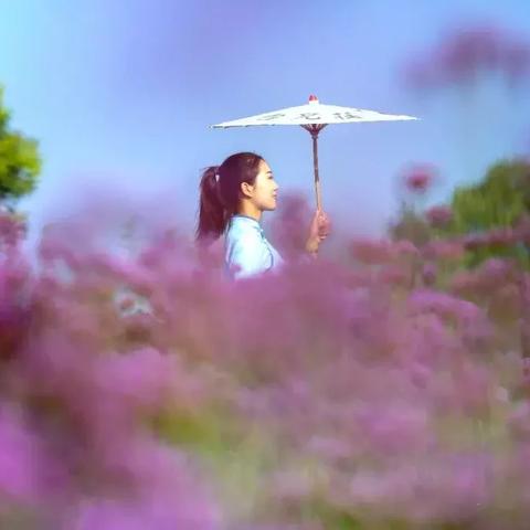 成都市蔷薇庄园在哪里