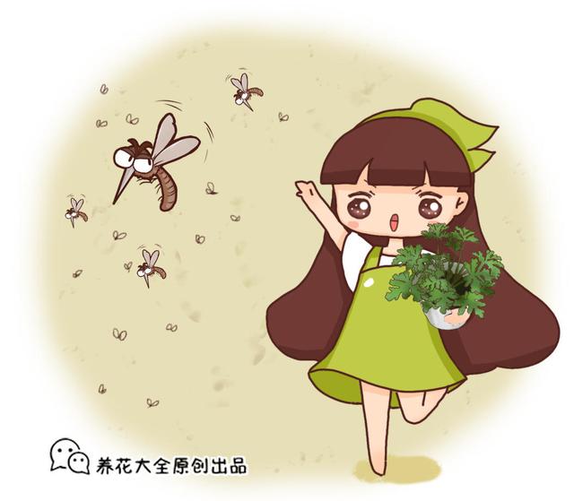 秋季蚊子很猖獗