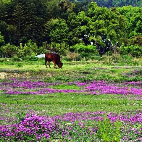 南昌11月什么气候