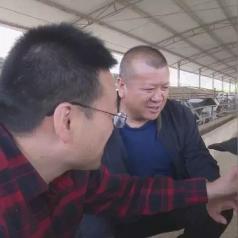 甘肃养羊大县排名？