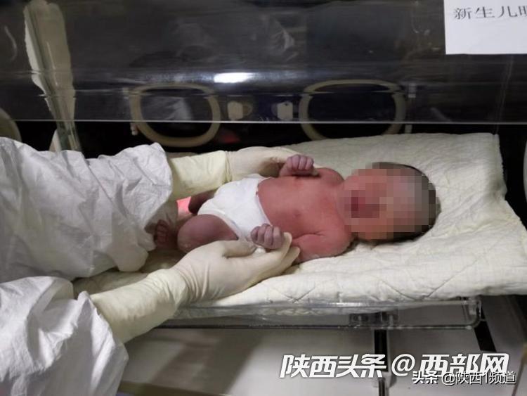 陕西新增24例新型肺炎
 /陕西新增24例新型肺炎病例