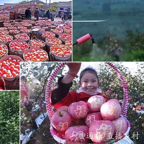 潍坊市寒亭区苹果销售的长尾关键词有哪些