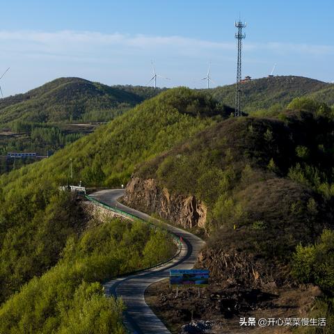 河南人最棒的相关长尾关键词有哪些