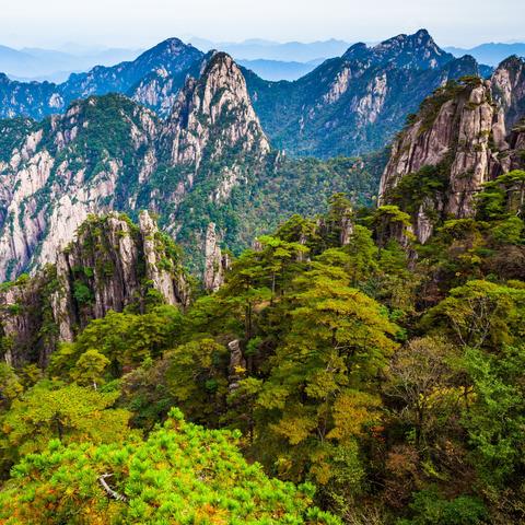 黄山旅游景点大全集的长尾关键词有哪些