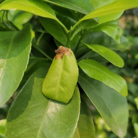 桂林月底天气相关长尾关键词有哪些