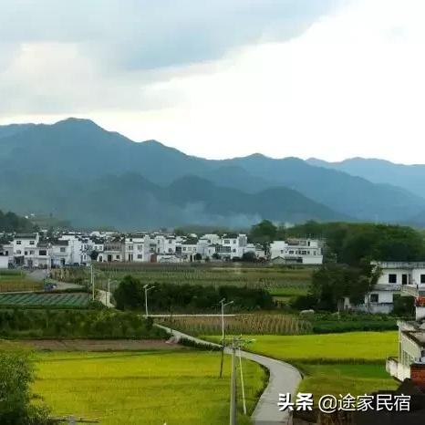 杨林镇有什么景点