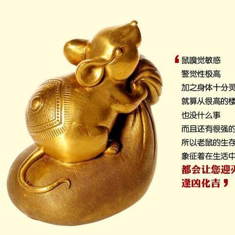 明日属什么生肖运势如何(明日属什么与什么属相相冲)