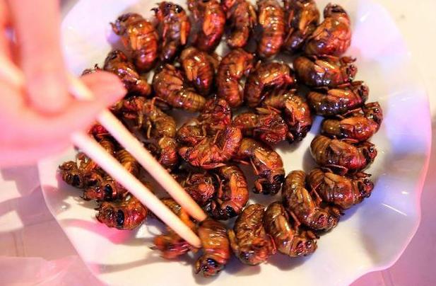 罗锅是什么美食图片（你就想起来的搞笑段子）
