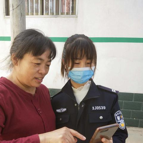 去哪里可以看跨境公司