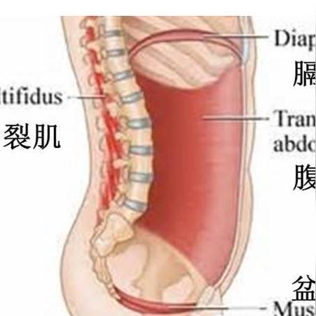 足球运动员骨盆的长尾关键词有哪些