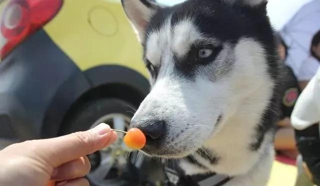 怎样让婴儿摆脱便秘问题 怎样让婴儿摆脱便秘问题