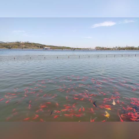 石家庄市亲子旅游攻略图的长尾关键词有哪些