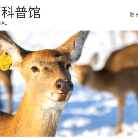 弥勒暑假足球比赛的长尾关键词有什么