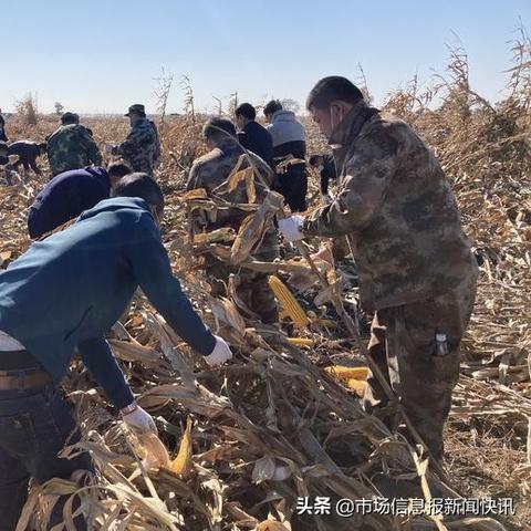 哈尔滨现在刮台风了吗相关长尾关键词有哪些