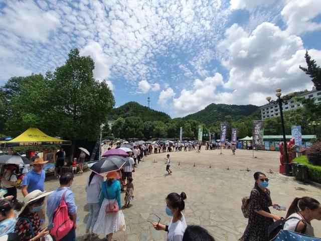 湖北省有哪些A级景区免门票