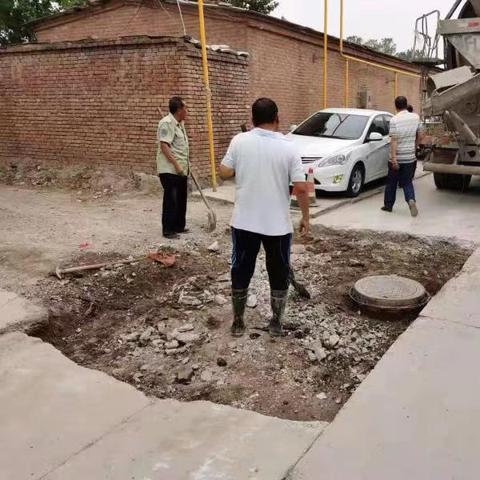 保定市狗狗疫苗编号是多少