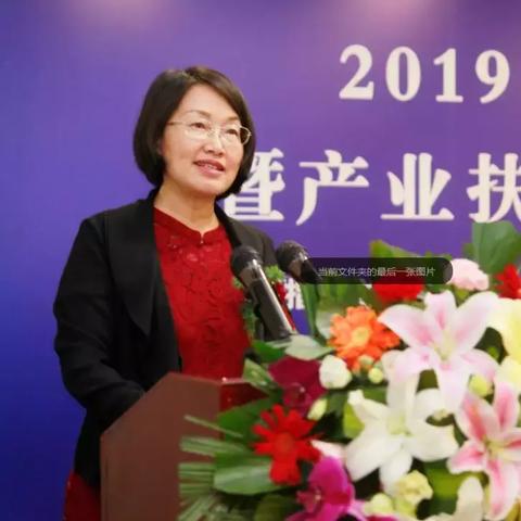 河南西瓜什么时候播种