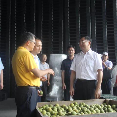 桂林市饲料加工厂在哪里