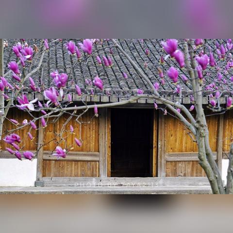 2025温州市拆迁的长尾关键词有哪些