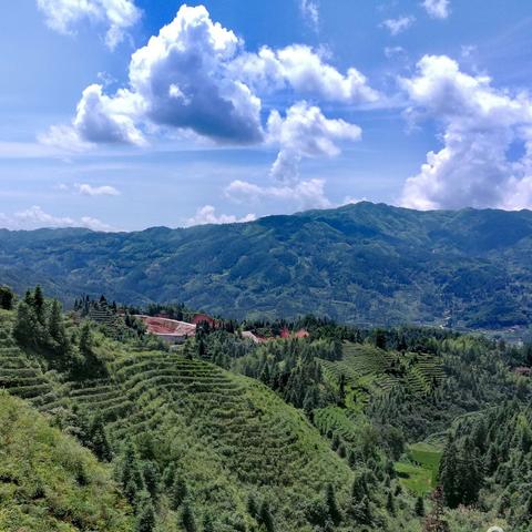 广东东莞市东城小区房价的长尾关键词有什么