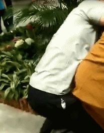 怀孕七个月了可以出国旅游吗