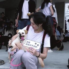 保定市领养小猫的地方的长尾关键词有哪些