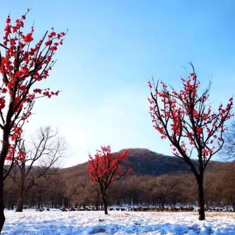 哈尔滨梅林小区相关长尾关键词有哪些