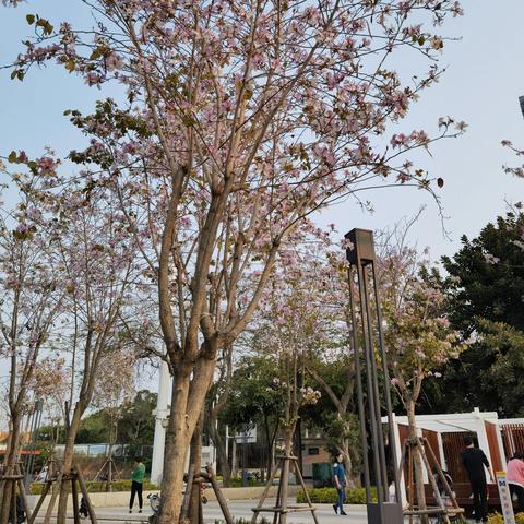 三月低去厦门穿什么