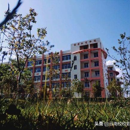 南山麒麟中学怎么样？