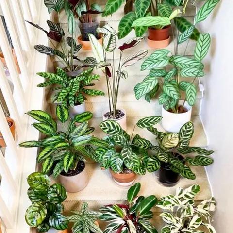 南宁青苹果家具的相关长尾关键词有哪些