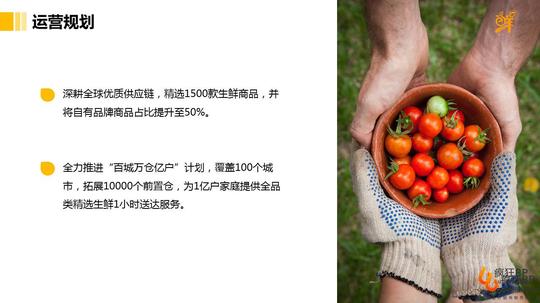 生鲜电商商业计划书怎么写？|创业方向