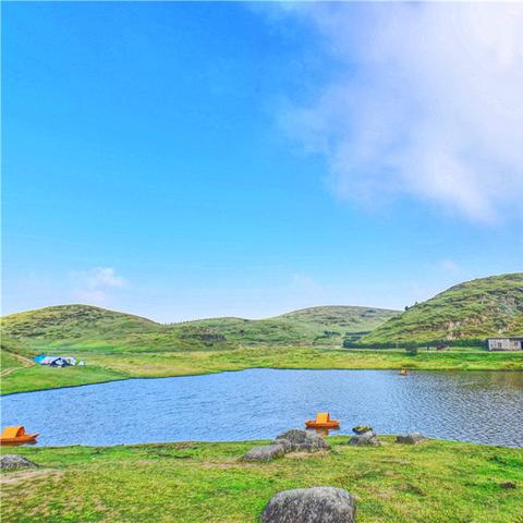 芙蓉浴什么意思？