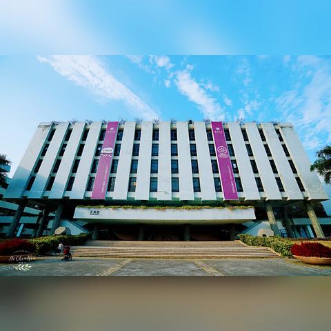 深圳市适合种什么树木呢