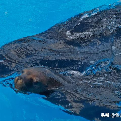 上海落户哪些单位最好