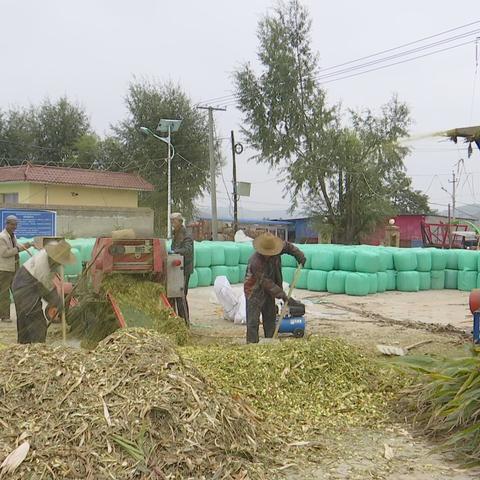 天津喜记茶餐厅怎么样