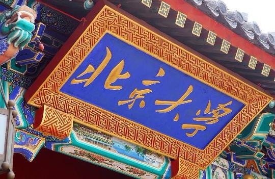 她627分考入北大考古文博学院，凭2幅画走红，网友：不学医可惜了