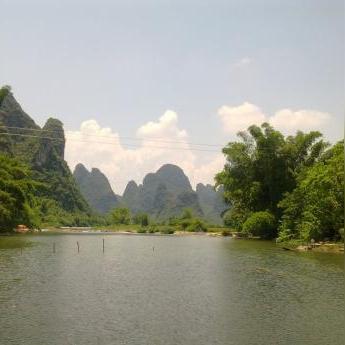 桂林市有棵树的山在哪里