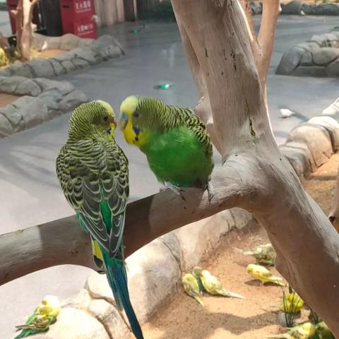 石家庄市带孩子去哪里玩