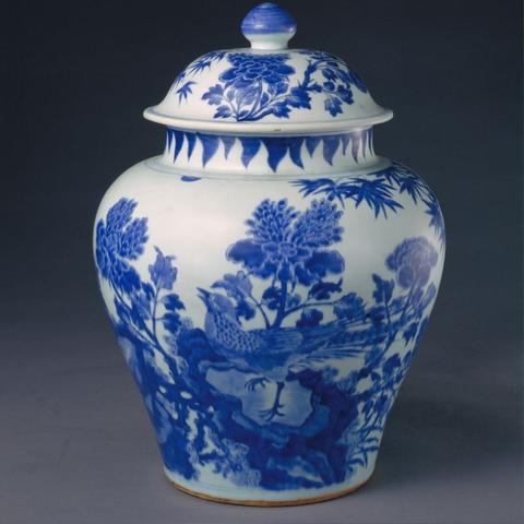 河南小啊莲的相关长尾关键词有哪些