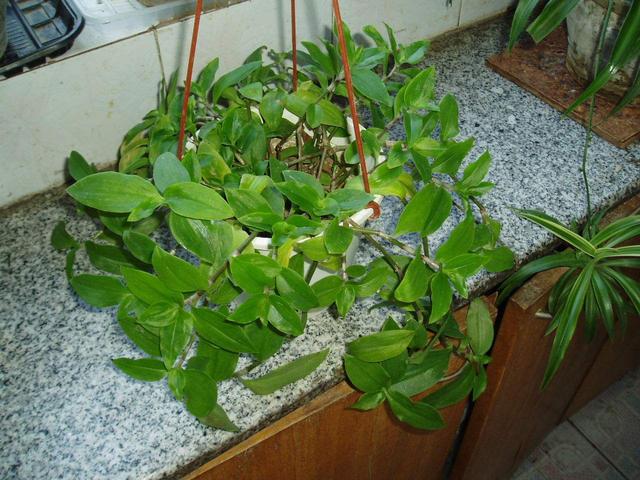可以给宝宝使用花露水或风油精吗