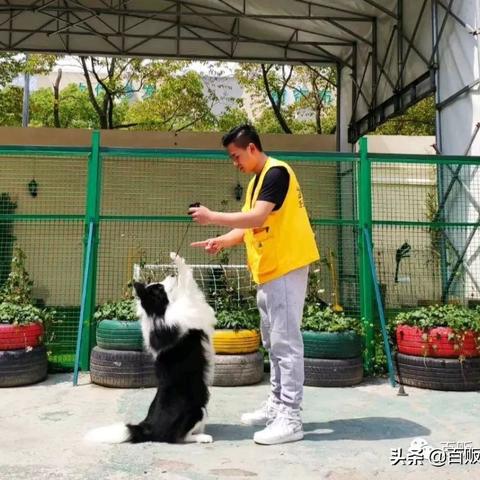 河南好酒店的相关长尾关键词有哪些