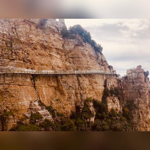 保定市哪里有星巴克