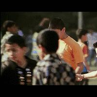 外国砍树电影有哪些