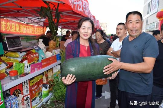 四平双辽市王奔镇首届丰收节丰收促脱贫生态助振兴