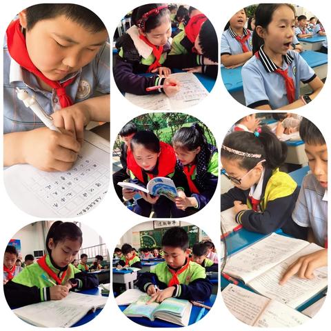 临沂市三河口小学怎么样？