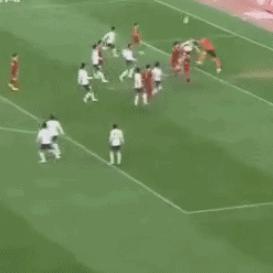 淄博市和石家庄市哪个好