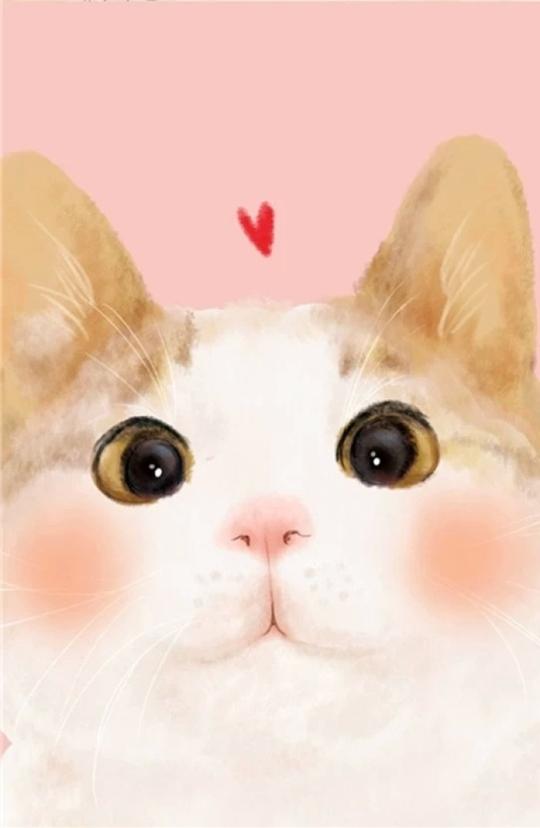 100张猫咪可爱头像壁纸，都不知道选哪个当锁屏了