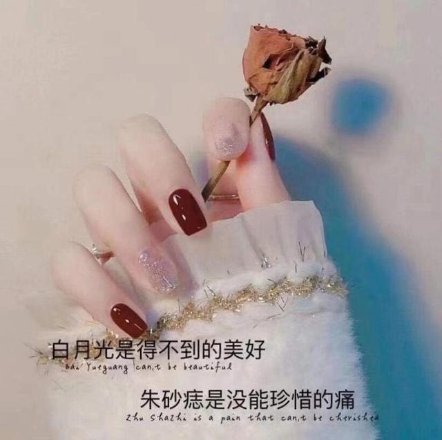 男生的白月光和朱砂痣是什么意思