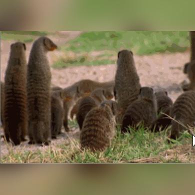 广州舞蹈大赛相关长尾关键词有哪些